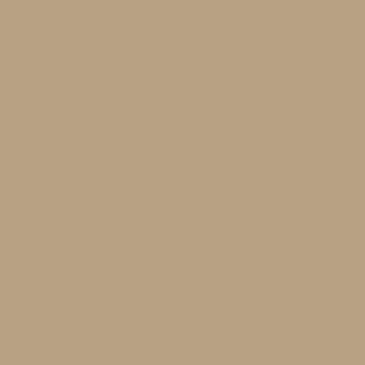 1054 Sherwood Tan - Paint Color | WPS Paint & Decorating Center
