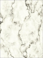 Faux Marble Wallpaper